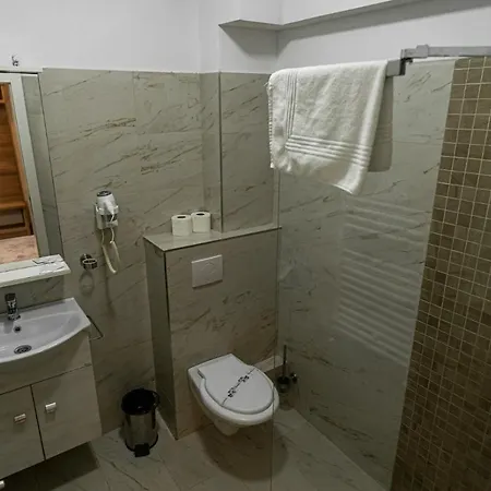 De Inchiriat Elisei Vendégház Temesvár