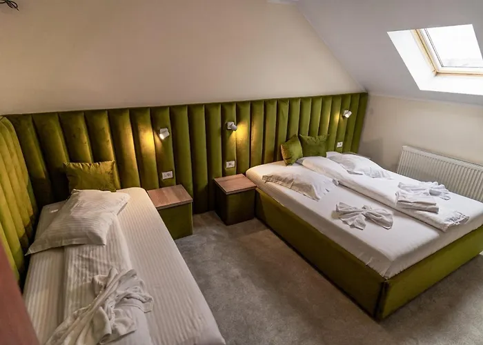 De Inchiriat Elisei Τιμισοάρα