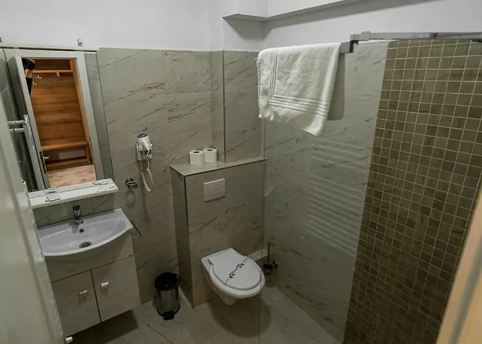 De Inchiriat Elisei Guest house Timisoara