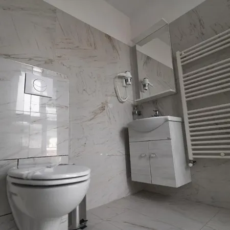 De Inchiriat Elisei 3* Timișoara